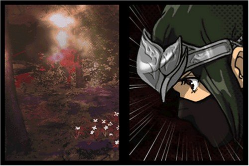 Ninja Gaiden Dragon Sword #TOP6