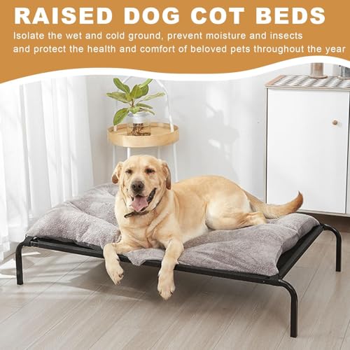 Lit surélevé pour chien protège du sol chaud hamac portable