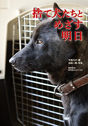 捨て犬たちとめざす明日 (ノンフィクション知られざる世界) 捨て犬たちとめざす明日 (ノンフィクション知られざる世界)