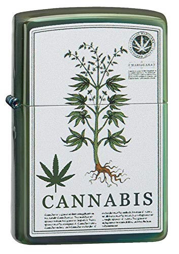 Zippo High Polish Green Cannabis Design Pocket Lighter