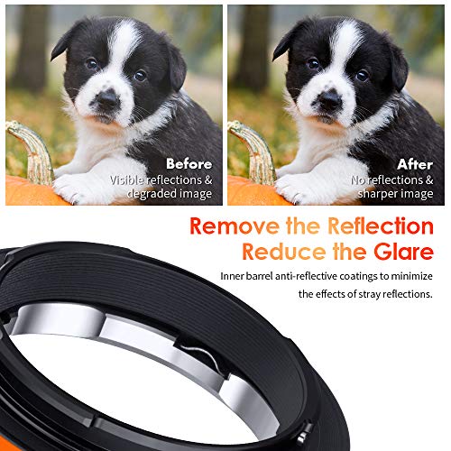 K&F Concept Leica M to Sony E-Mount Adapter #TOP8