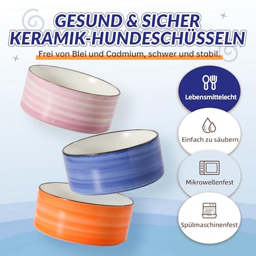 Hunde Napfset Hundenapf Set Erhöht - Doppelnapf Keramik mit Spritzschutz Ständer - Bunte Spirals Hundenäpfe für Futter und Wasser - Ideal für Kleine bis Mittelgroße Hunde - 2 x 800 ml - Blau