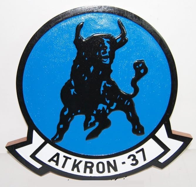 VA-37 Ragin' Bulls Plaque