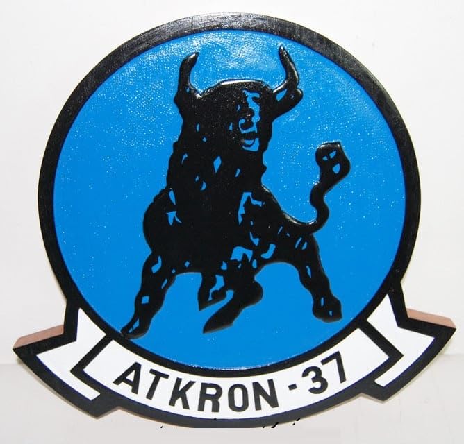 VA-37 Ragin' Bulls Plaque