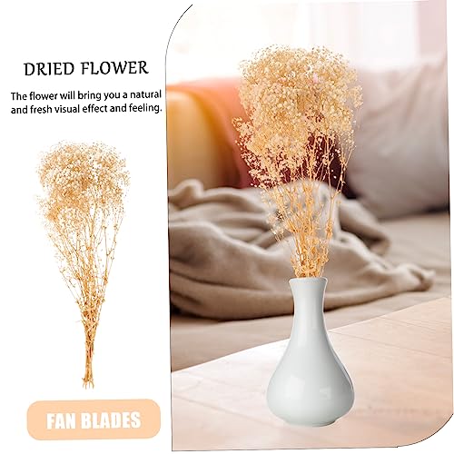 Ramo de Gypsophila seca natural para decoración miniatura 7