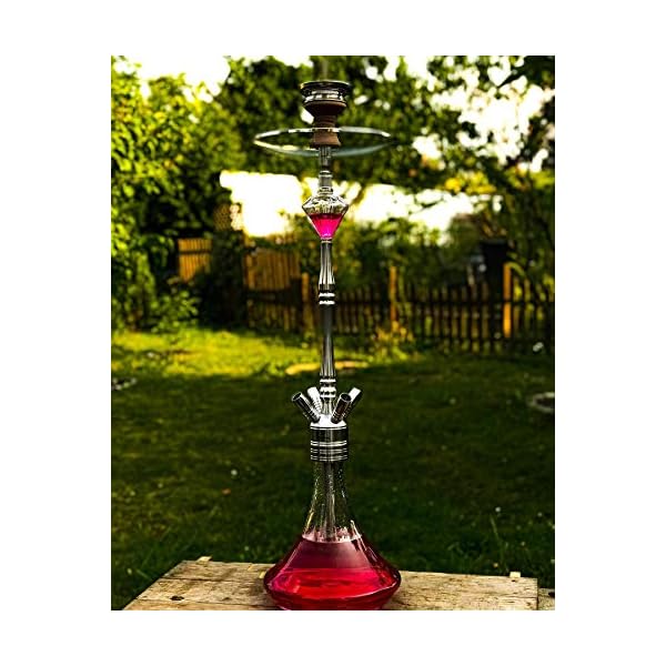 DIAMOND HOOKAH Premium Rubin Shisha Set, Wasserpfeife Shisha Edelstahl Komplettset mit 4 Anschlüsse/Schläuche. 18/8… – Bild 6