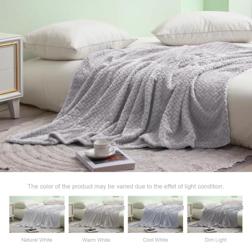 Image of Exclusivo Mezcla Soft Fleece Bed Blanket King Size, 90 inchx104 inch, Light Grey