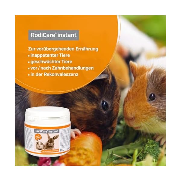 Alfavet, RodiCare instant Päppelfutter für geschwächte inappetente Zwergkaninchen, Meerschweinchen, Kleinnager. Alleinfuttermittel mit gesunden Kräutern, Pulver – Bild 4