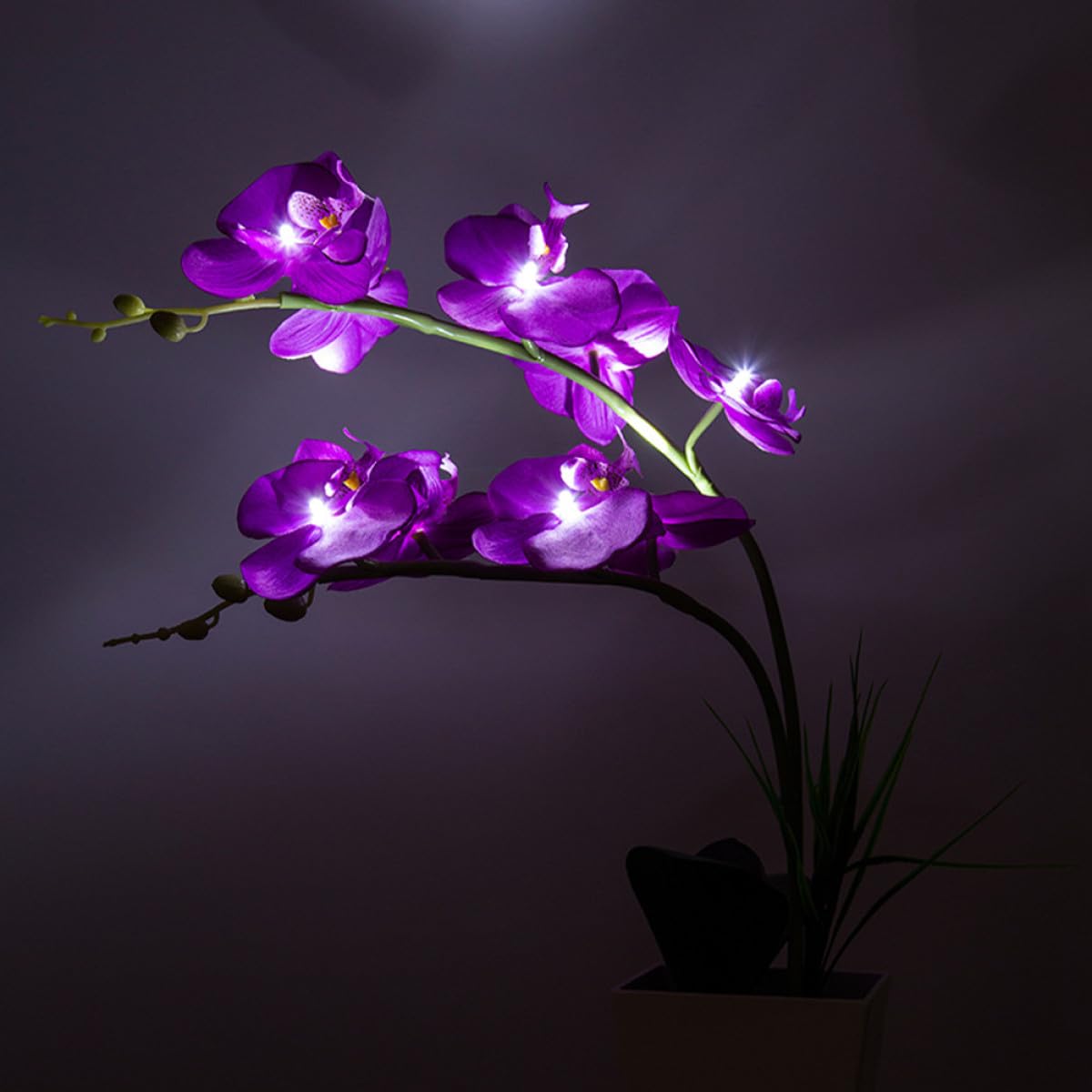 LED Orchideen Blumenlicht mit 9 LEDs, Faltbaren Zweigen, Kunststoff