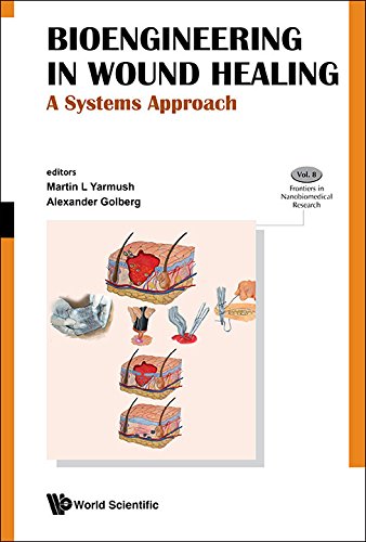 Bioengineering In Wound Healing: A Systems Approach (Frontiers In Nanobiomedical Research Book 8)