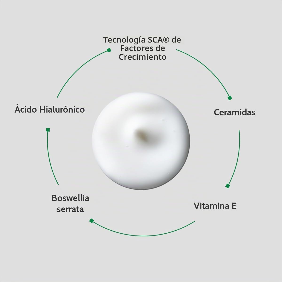 Cantabria Labs – Biretix Isorepair – Crema Reparadora, Regeneradora e Hidratante 50 ml – Restaura la Función Barrera de Pieles Sensibilizadas por Retinoides