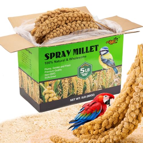 RANZ 5LBS Spray Millet Treat for Pet Birds, Hand-Harvested Bird Snack, Natural Sun-Dried Millet Spray for Parakeets, Parrots, Cockatiels, Lovebirds, Budgies, Finches, Canaries