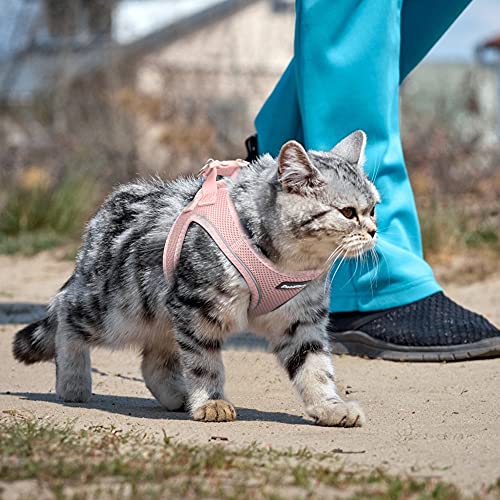 Petifine Extra Small Step In Dog Harness And Leash Set, Cat Harness And Leash Escape Proof, All Weather Mesh Reflective, Step-In Air Vest Harnesses For Puppy(Xxs, Pink) #TOP6