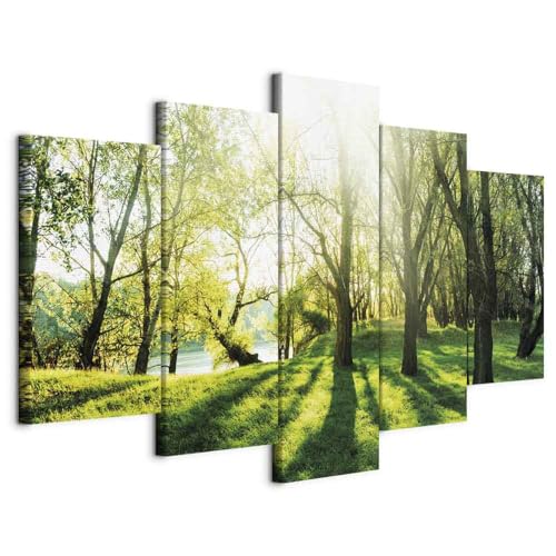 Tableau décoratif paysage nature forêt et arbres soleils en toile 100x50