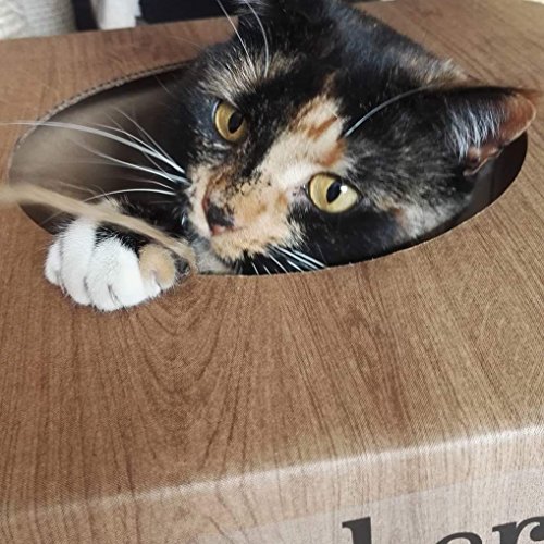 Wood Effect Cat Scratcher Tree Igloo Toy Box