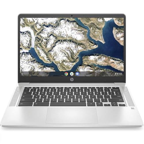 HP Chromebook 14a-na0005sl, Intel Pentium Silver N5030, 8GB Ram LPDDR4, eMMC da 128GB, Display da 14' FHD, IPS, Antiriflesso, Scheda grafica Intel UHD 605, Wi-Fi, ChromeOS, Webcam HD, Argento