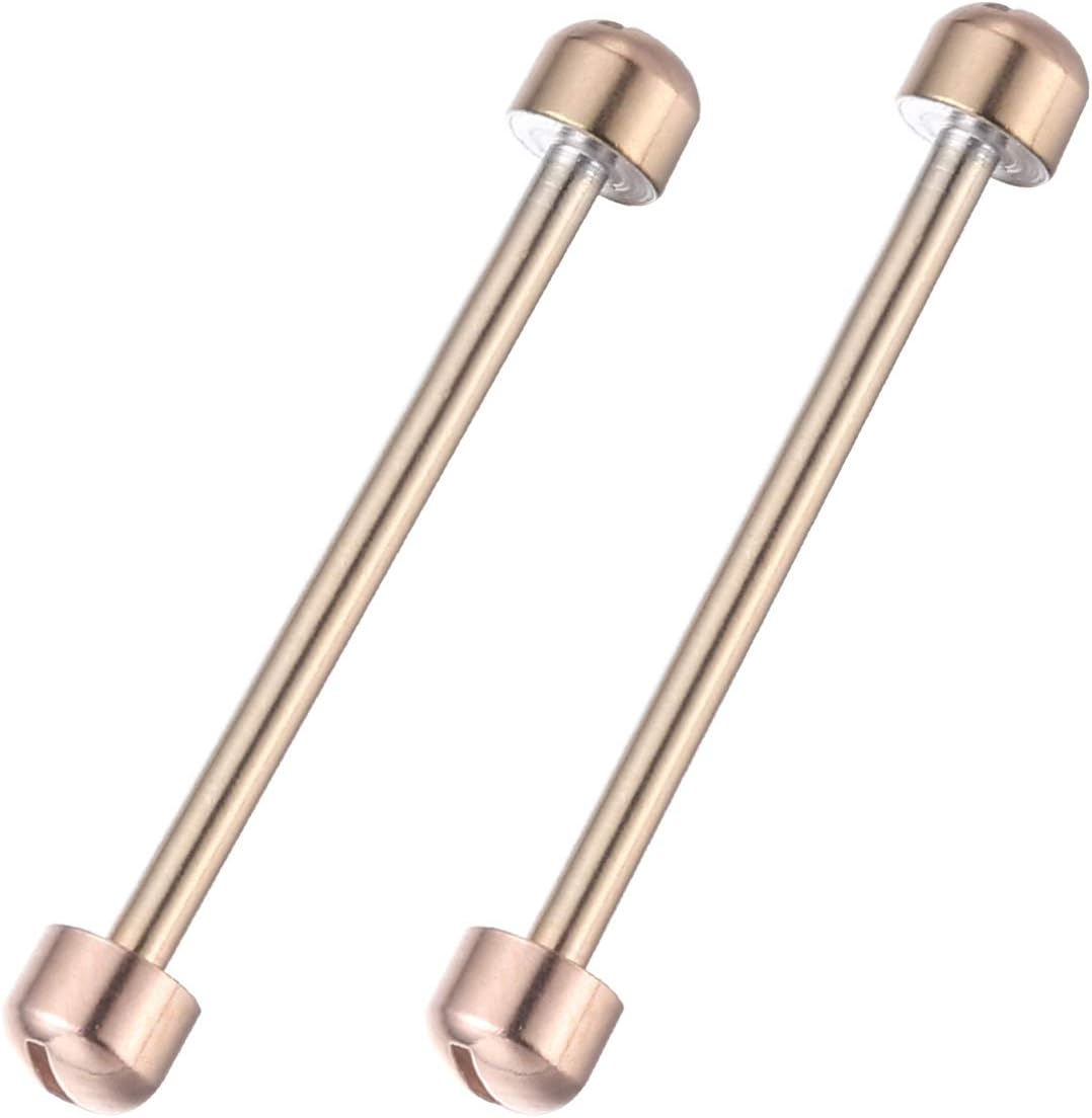 Totority Varilla de Enlace de Correa de Reloj 2 Piezas de Varillas de Tubo de Tornillo de Reloj Pasadores de Orejeta de Reloj Atornillados Herramientas de Reparación de Varilla de Conexión