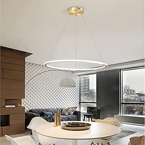 Lampes suspendues à LED 25W avec diffuseur minimaliste pour plafond