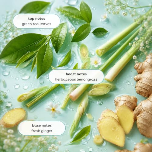 Image of Ginger Lily Farms Botanicals Body Wash, 12oz /6pk, Island Tranquility