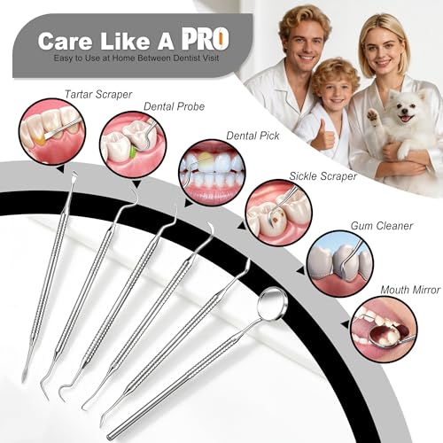 CATACC PRO Stainless Steel Dental Kit