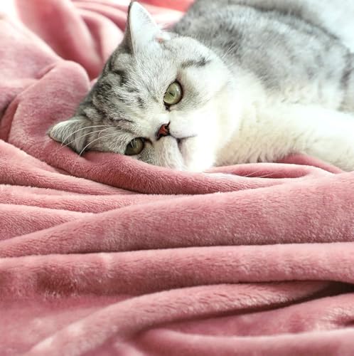 Image of Harleen Blankets, 250 GSM Super Soft Flannel Cozy Blankets for Single Bed, Washable Lightweight Blanket for Couch Sofa Bed Office, Warm Plush Blankets for All Season (Peach, Double)