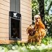 RUN-CHICKEN Door T50 – Automatic Chicken Coop Door Opener, Battery Powered & Weatherproof Aluminum, Smart App & Timer Control, Predator Proof, Easy Install, Reliable All-Season Performance (Gray)