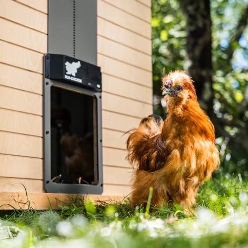 RUN-CHICKEN T50 Automatische Hühnerklappe, Grau – Aluminium, batteriebetrieben (2X AA), App-Steuerung, Lichtsensor & Timer mit Verzögerung, wetterfest – Hühnertür für Hühnerstall & Auslauf