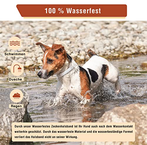 Animal Vita® Zeckenhalsband für kleine Hunde - 100% natürliche Inhaltsstoffe - bis zu 8 Monate zuverlässiger Zeckenschutz