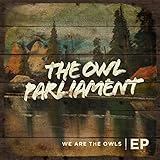 The Owl Parliament