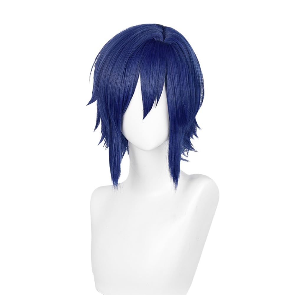 Mens Short Dark Blue Hair Wigs with Bangs Anime Cosplay Wig for Men Male Synthetic Hair Wig for Halloween Costume Mens Short Dark Blue Hair Wigs with Bangs Anime Cosplay Wig for Men Male Synthetic Hair Wig for Halloween Costume