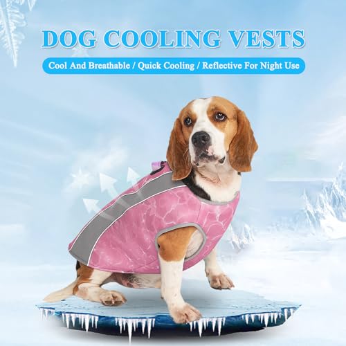 Hundekühlweste, reflektierendes Geschirr Kühljacke mit verstellbarem Reißverschluss, Titan-D-Ringen und atmungsaktiver Leichter Kühlweste für Outdoor-Jagd, Training und Camping (Rosa, L)