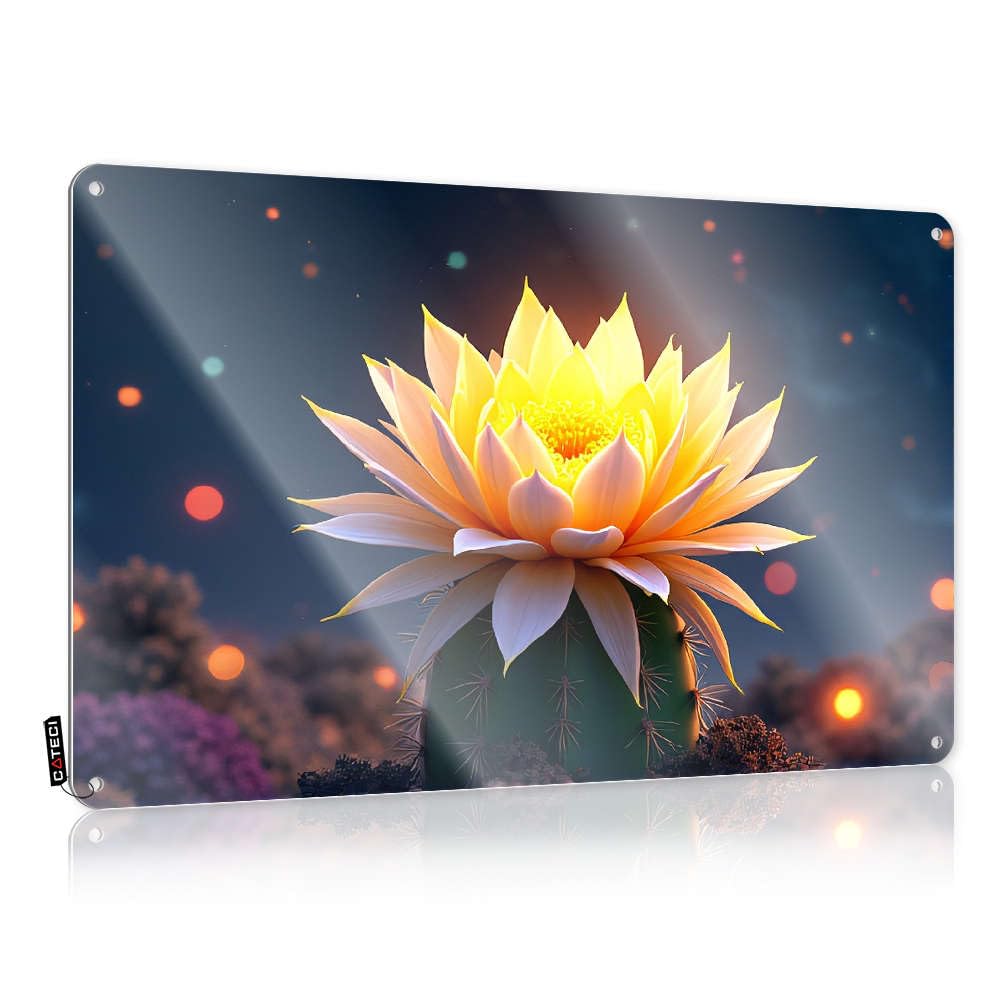 Fzfn Colour Country, Signs Stair Nice A Glowing Cactus Flower In A Mystical Garden. | Rustic Cool Wall Art(20X30cm)