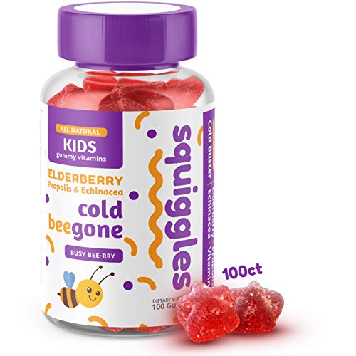 Elderberry, Bee Propolis, and Echinacea | Kids Cold Fighting Gummies by SQUIGGLES, 100