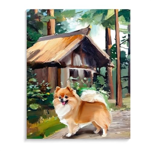 DIY Paint by Numbers Pomeranian Dog on Canvas Painting Kits for Adult, Beginner Oil Painting Kits Gift 20x24inch(50x60cm) Frameless