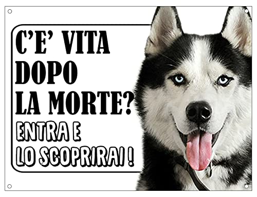 CARTELLO ATTENTI AL CANE - SIBERIAN HUSKY c'è vita...