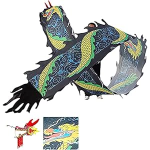 Kleurrijke Draak Vormige Dansen Wand Zijden Draak Dans Lint Streamer voor Ouderen Volwassenen Jeugd Spiraal Praktijk…