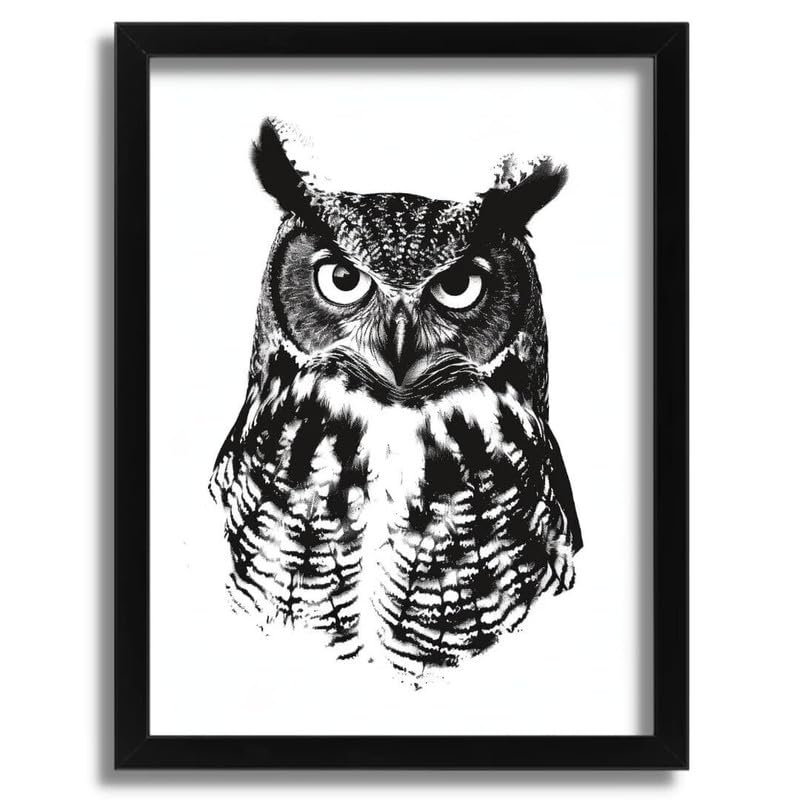 Tableau hibou noir et blanc A0 poster sur toile pour salon