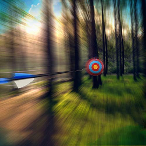 COMPLETE Archery Kit For Teens | Bow and Arrow with Target for Teens | Archery Kit with 12 Arrows and 1 Straw Target Archery | Kids Hunting Bow and Arrow with Arrow Targets for Shooting Outdoor
