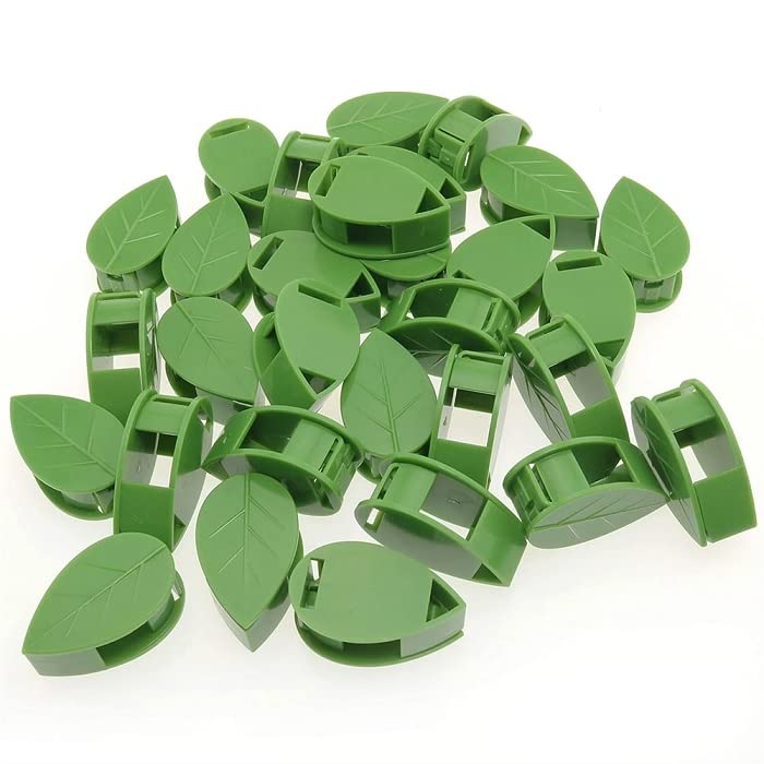 MultiCart 10 Pcs Plant Climbing Fixing Clip - Wall Fixer Self-Adhesive Hook, Wall Vines Fixture Wall Hook Vines Climbing Clip for Home (Green) (B0BMVSG797) Amazon Price History, Amazon Price Tracker