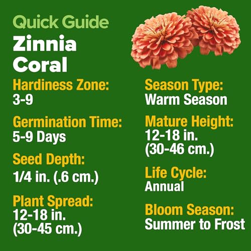 Image of HOME GROWN Coral Zinnia Seeds (1g) - 600 Zinnia elegans Annual Flower Seeds for Planting Outdoors - Heat Tolerant Easy Summer Flowers to Plant - Herb Seed Companion for Pollinator Garden Beds for 2026