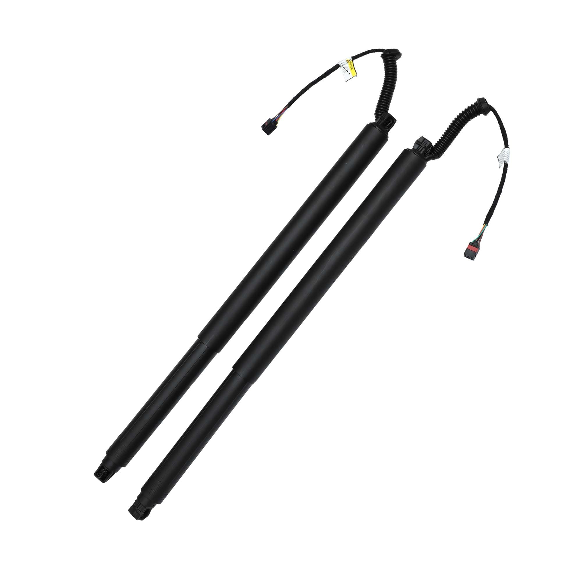 ピエタソプラノ1C Excellent • ピエタソプラノ1C Excellent • pieta soprano 1C Excellent 吊り穴付