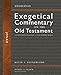 Jonah: A Discourse Analysis of the Hebrew Bible (28) (Zondervan Exegetical Commentary on the Old Testament)