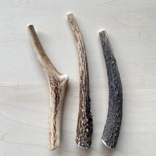 hbOYCt dog's life p ނ Y mY p (S)