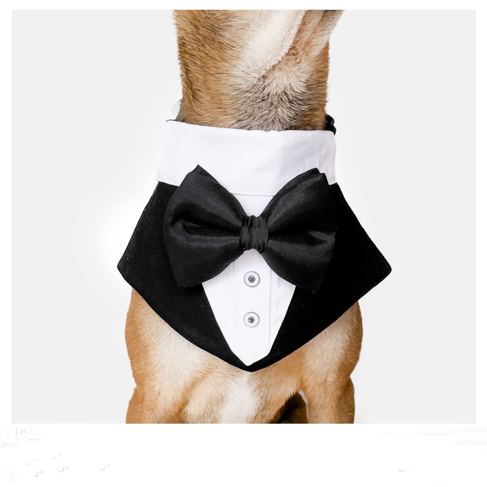 See full amazon price history chart for That Dog In Tuxedo Dog Tuxedo Bandana/Pet Tuxedo Bow Tie for Dogs with Adjustable/Removable Collar (S, Black) That Dog In Tuxedo Dog Tuxedo Bandana/Pet Tuxedo Bow Tie for Dogs with Adjustable/Removable Collar (S, Black) (B09RW18F3X) Amazon Price History, Amazon Price Tracker