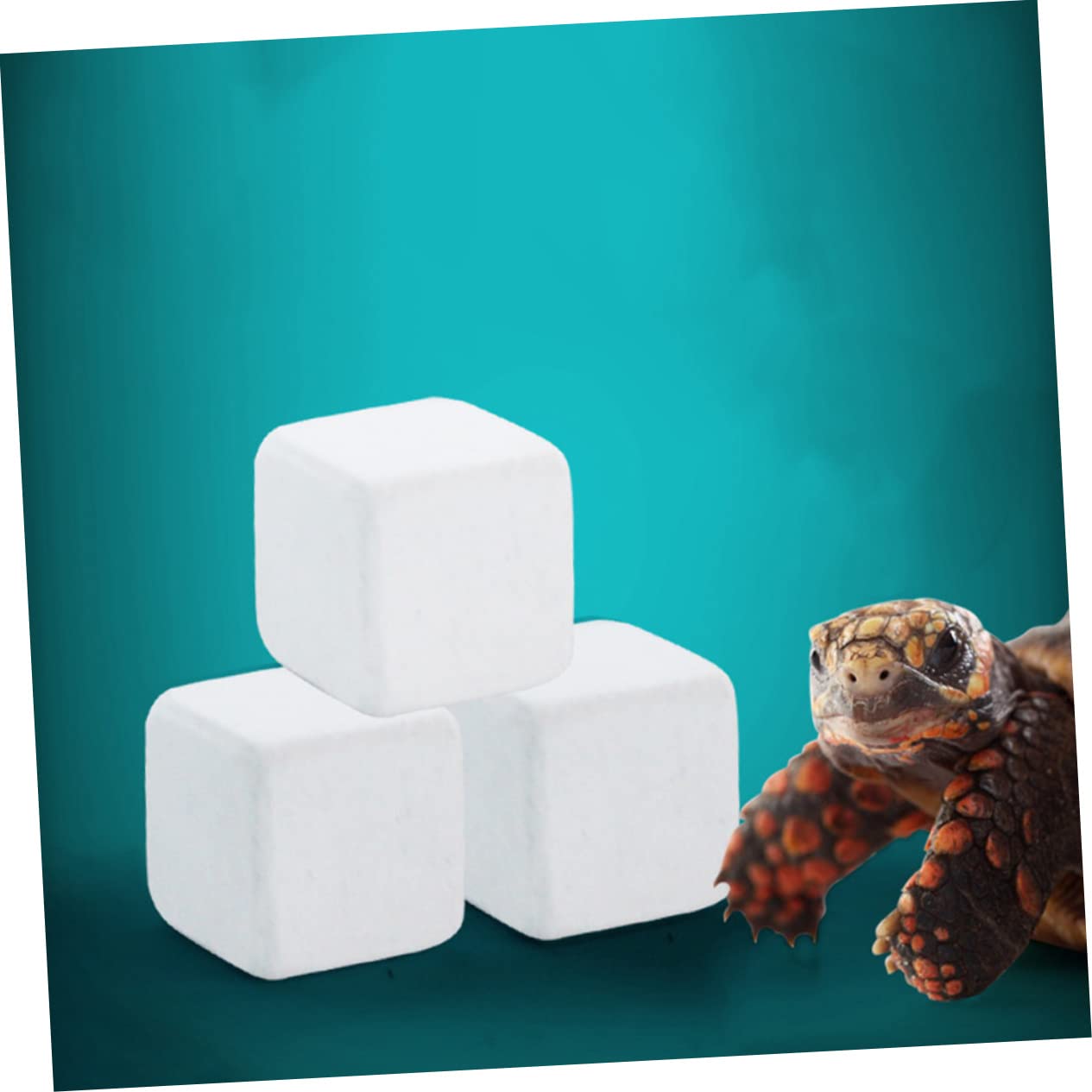 Mipcase 50piezas Bloques De Calcio Natural para Tortugas y Reptiles Minerales Esenciales para Acuarios y Terrarios Suministro De Calcio Seguro y Duradero