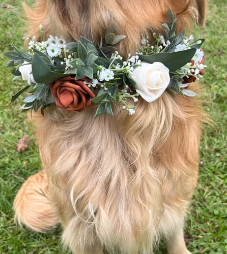 Generic Wedding Dog Collar, Floral Ring Dog Collar cover