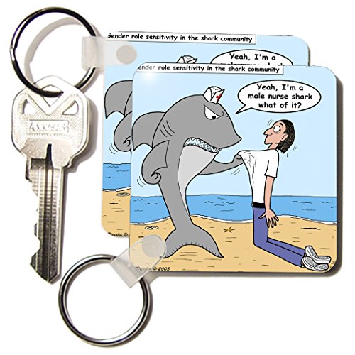 3dRose Male Nurse Shark - Key Chains, 2,25 x 2,25", Set of 2 (kc_2774_1)