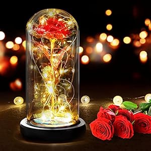 RANJIMA Cadeaus voor Mama, Moederdagcadeau, Eeuwige roos in glas, Geconserveerde Echte Roos, Moederdag Cadeau, Voor Haar Vrouw Vriendin Grootmoeder Geliefde Op Verjaardag, Jubileum, Valentijnsdag