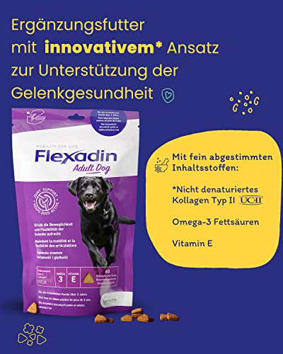 FLEXADIN® Adult Dog| Für gesunde Gelenke von Erwachsenen Hunden| mit Nicht denaturiertem Kollagen Typ II – 2 Monatspackung