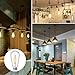 Vintage LED Edison Bulb Dimmable 8W Led Filament Light Bulb ST64 840 Lumen 3000K Soft White 75-100 Watt Incandescent Equivalent E26 Medium Base Decorative Antique Lamp for Home Bathroom Bedroom 4 Pack